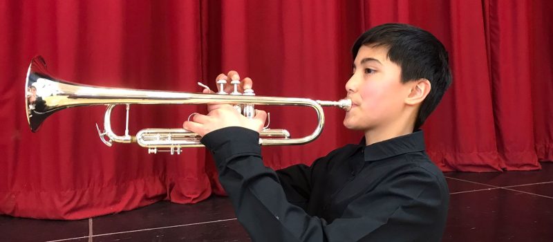 Woodwind and brass section